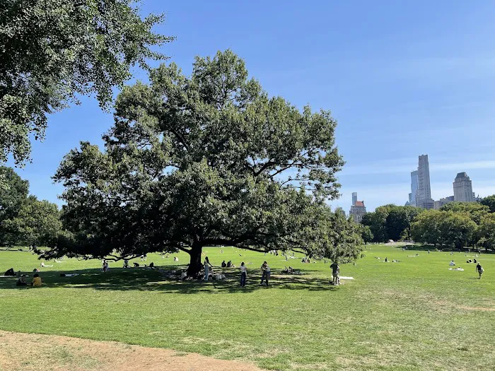 Sheep Meadow Picture 8