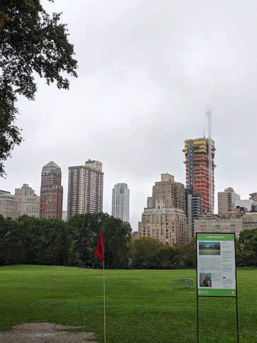 Sheep Meadow Picture 2