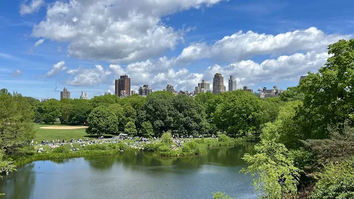 Sheep Meadow Picture 6