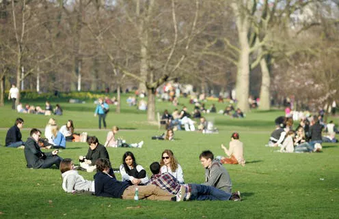 Central Park Lawn Sports Center Picture 9