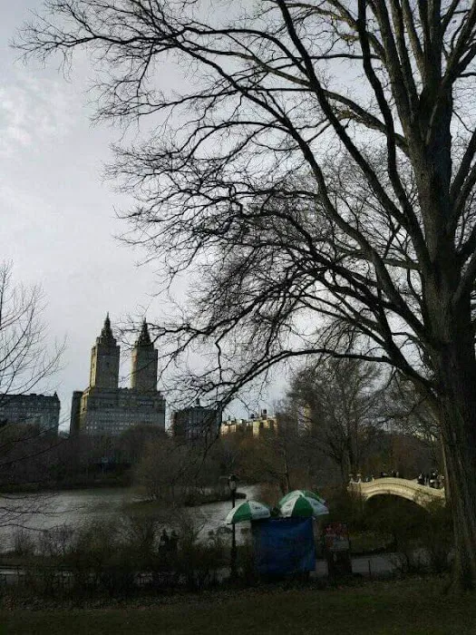 Central Park Lawn Sports Center Picture 4