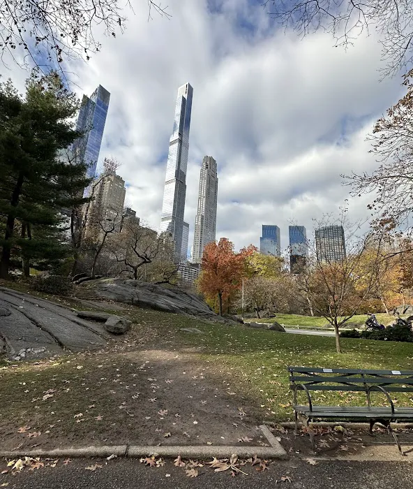 Central Park Lawn Sports Center Picture 5