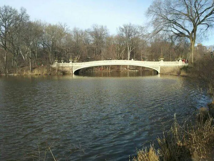 Central Park Lawn Sports Center Picture 3