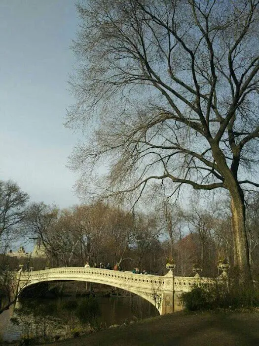 Central Park Lawn Sports Center Picture 1