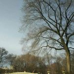 Central Park Lawn Sports Center
