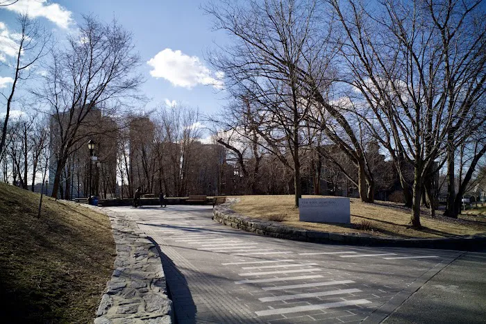 Green Space Picture 3