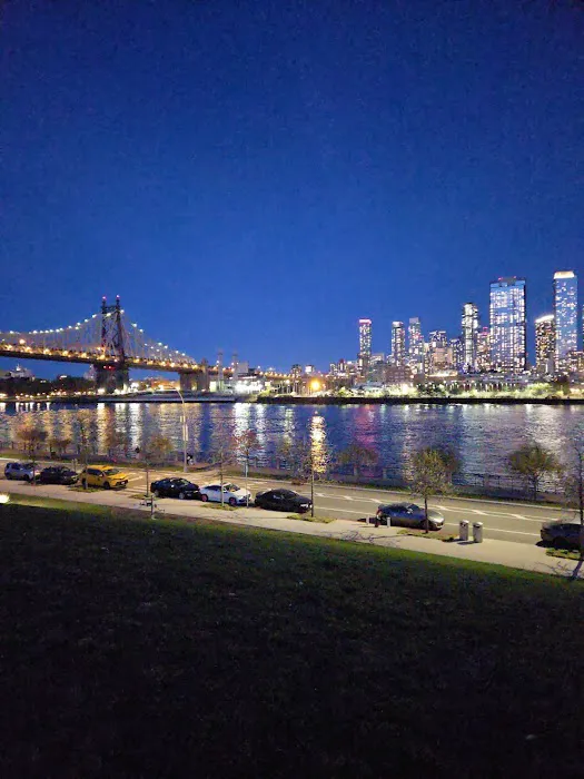 Manhattan Healing Forest Picture 2