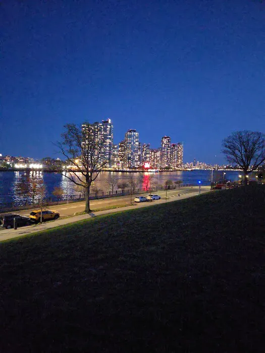Manhattan Healing Forest Picture 4