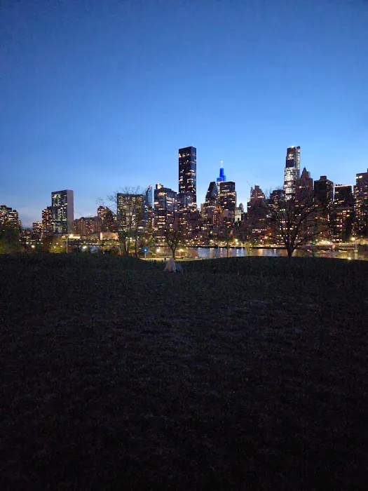 Manhattan Healing Forest Picture 3