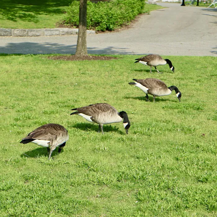 Southpoint Park Picture 4