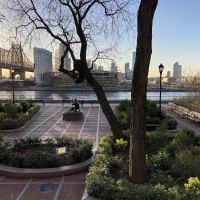 Sutton Parks ico