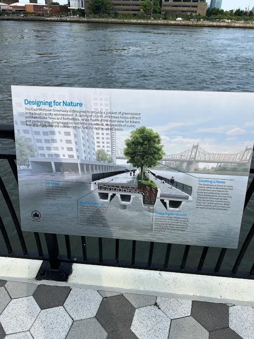 East River Esplanade Picture 8