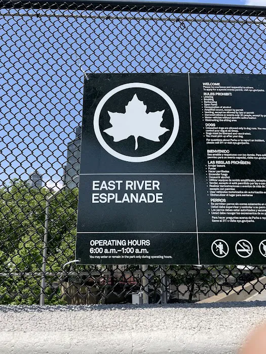 East River Esplanade Picture 4