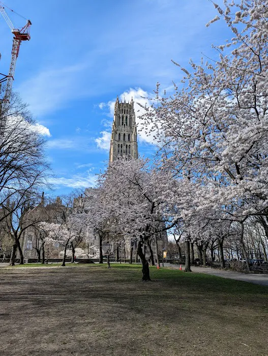 Sakura Park Picture 9