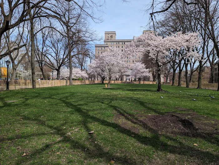 Sakura Park Picture 1