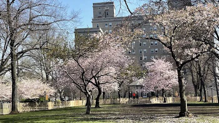 Sakura Park Picture 8