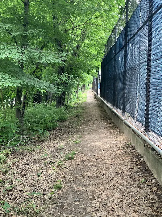 Riverside Park Meadow Picture 1