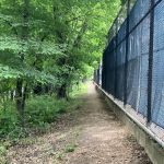 Riverside Park Meadow