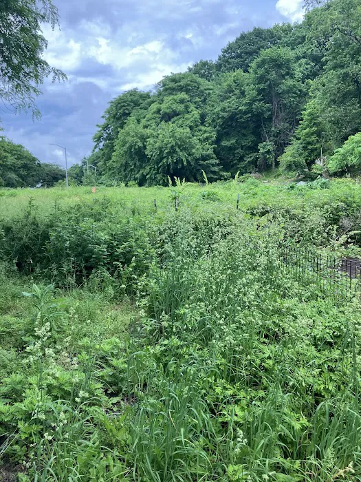 Riverside Park Meadow Picture 4