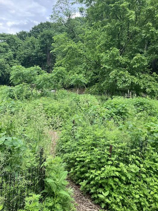 Riverside Park Meadow Picture 8