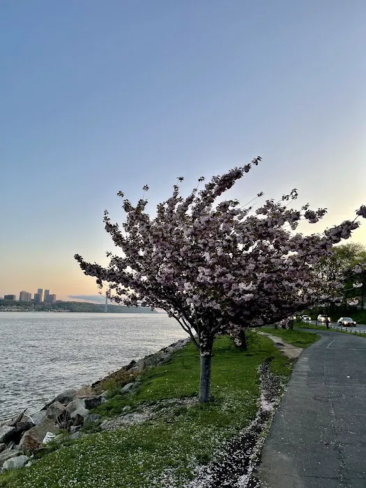 Riverside Park Meadow Picture 6