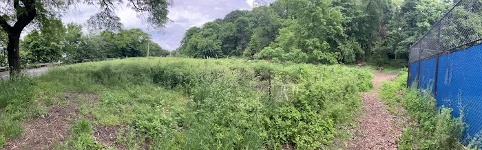 Riverside Park Meadow Picture 2