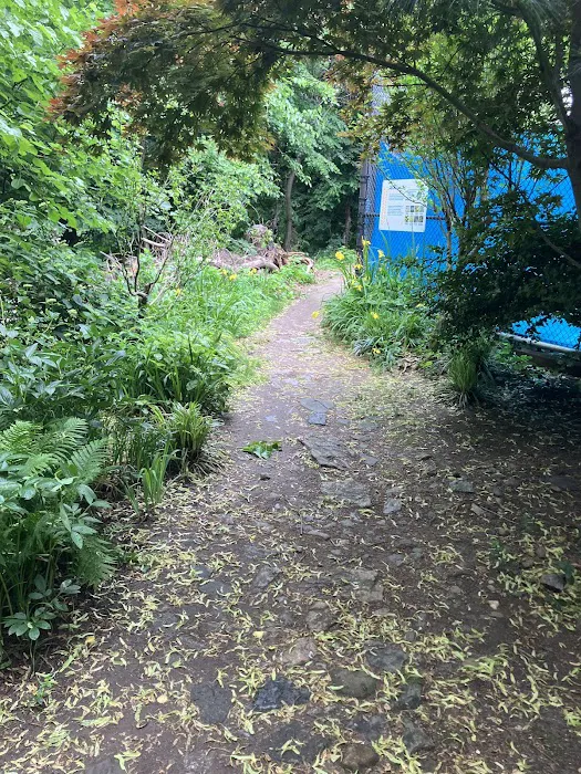Riverside Park Meadow Picture 5