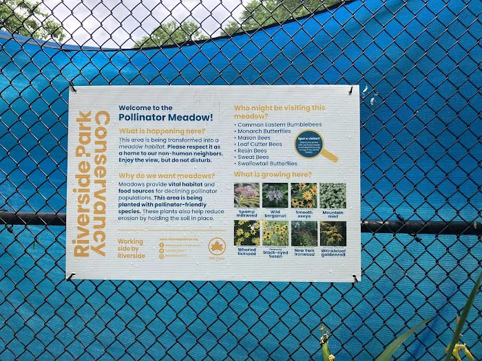 Riverside Park Meadow Picture 3