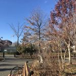 Gravesend Park