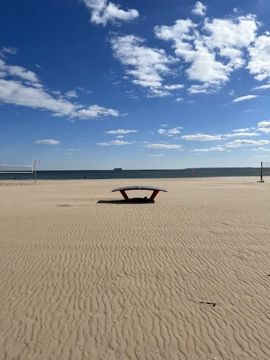 Ping Pong Table at the Beach Picture 1