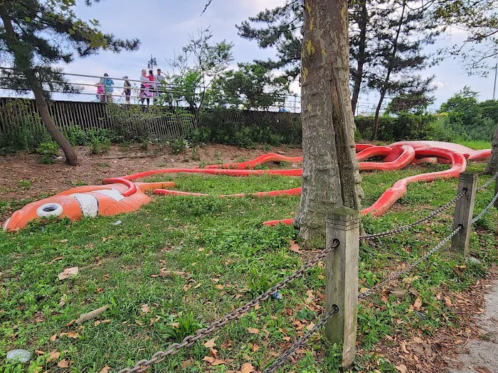 Giant Squid in Asser Levy Park Picture 2