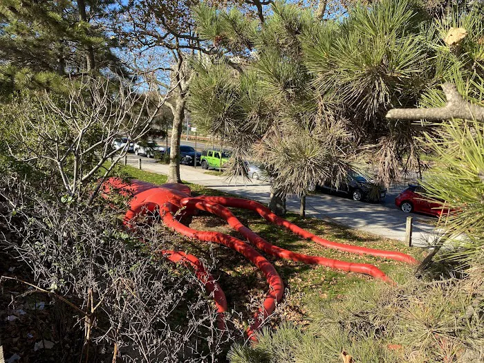 Giant Squid in Asser Levy Park Picture 5