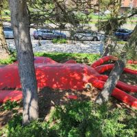 Giant Squid in Asser Levy Park ico