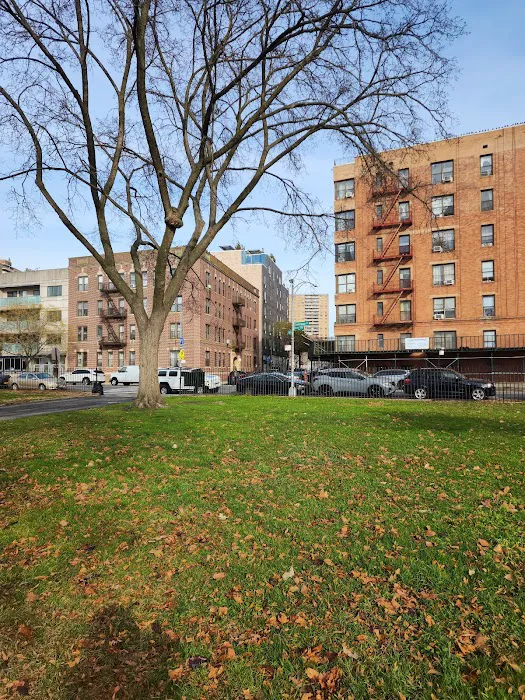 Asser Levy Park Picture 7