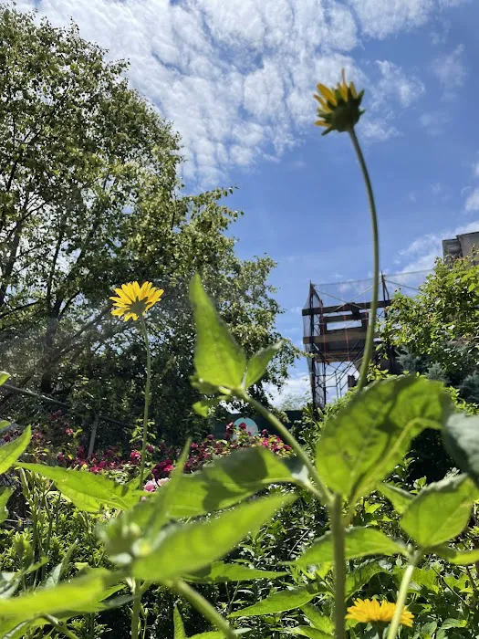 1100 Bergen Street Community Garden Picture 1