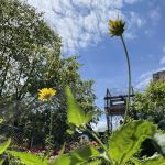 1100 Bergen Street Community Garden