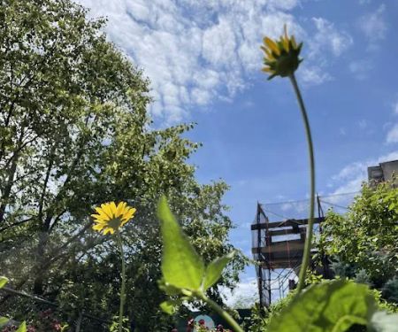 1100 Bergen Street Community Garden