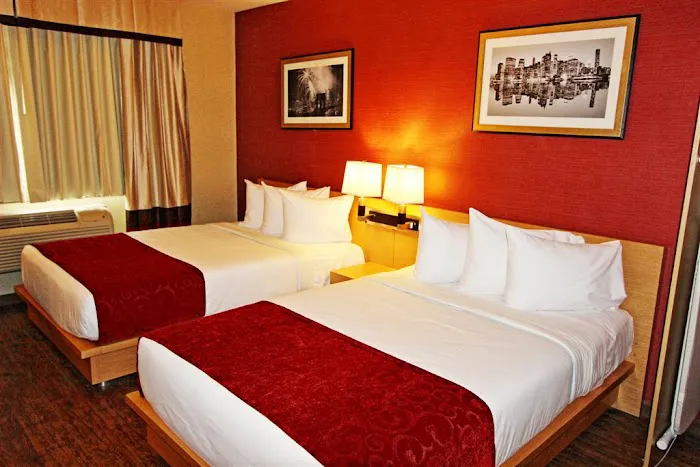 Hotel Lynx Picture 5
