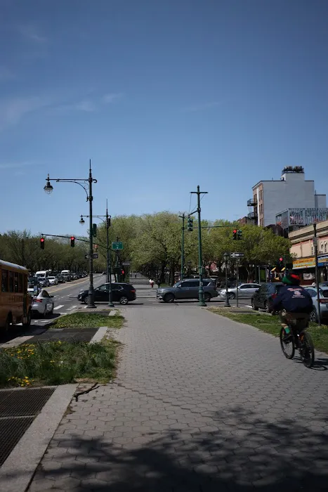 Eastern Parkway Promenade Picture 1
