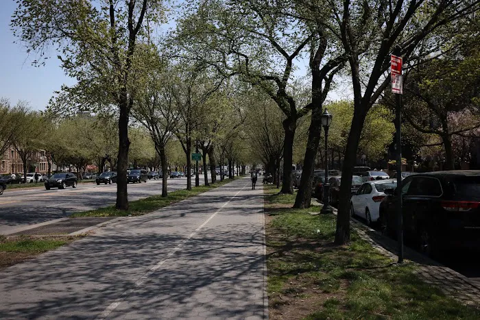 Eastern Parkway Promenade Picture 6