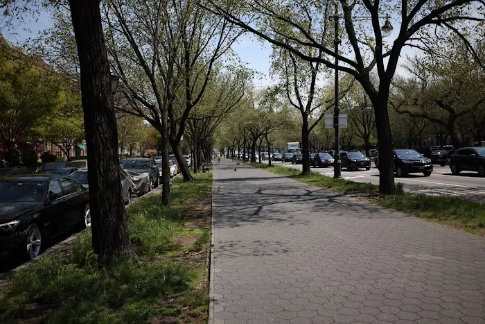 Eastern Parkway Promenade Picture 4