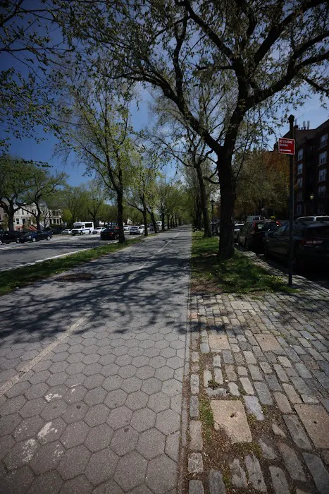 Eastern Parkway Promenade Picture 8