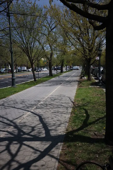 Eastern Parkway Promenade Picture 10