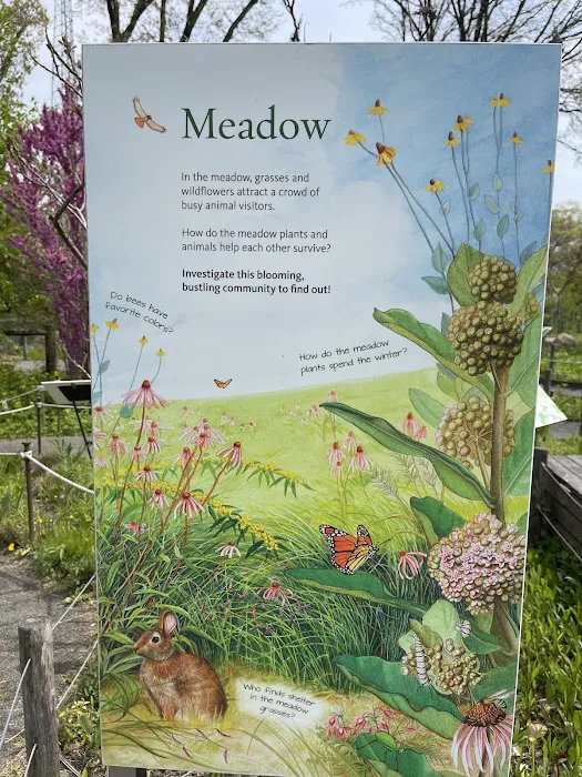 Children’s Garden Picture 1