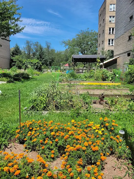 Union Street Garden and Community Development Picture 1