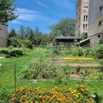 Union Street Garden and Community Development