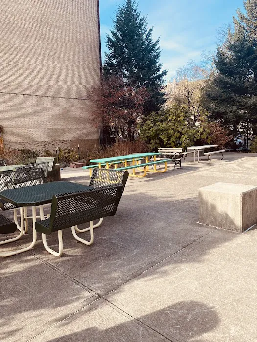Union Street Garden and Community Development Picture 3