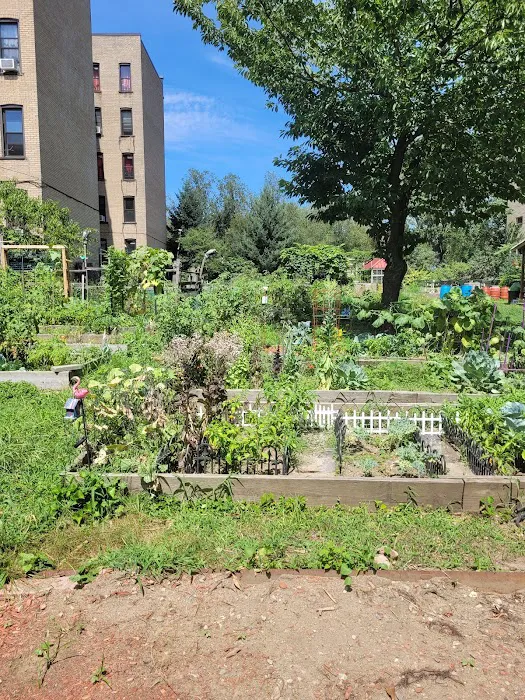 Union Street Garden and Community Development Picture 2