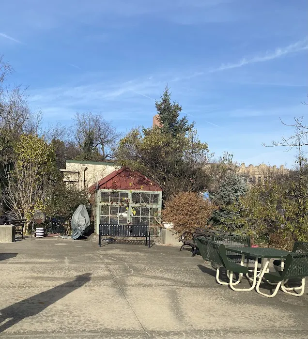 Union Street Garden and Community Development Picture 6