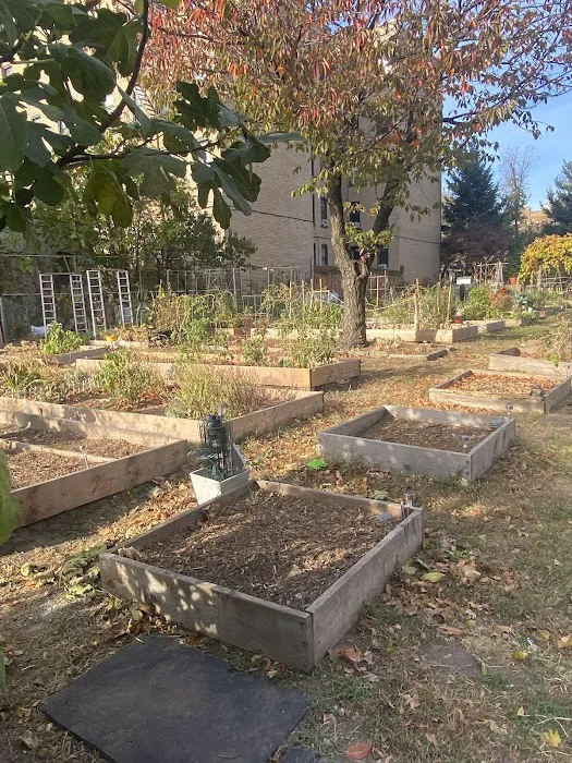Union Street Garden and Community Development Picture 5